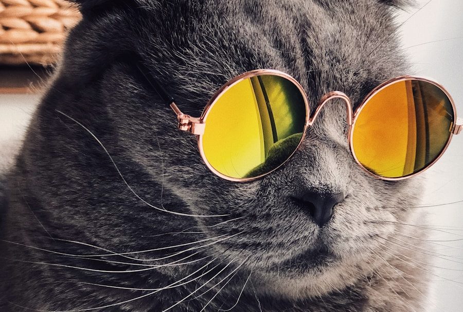 YouTube pense que nous sommes almedy à l'ère du «maximalisme créatif»