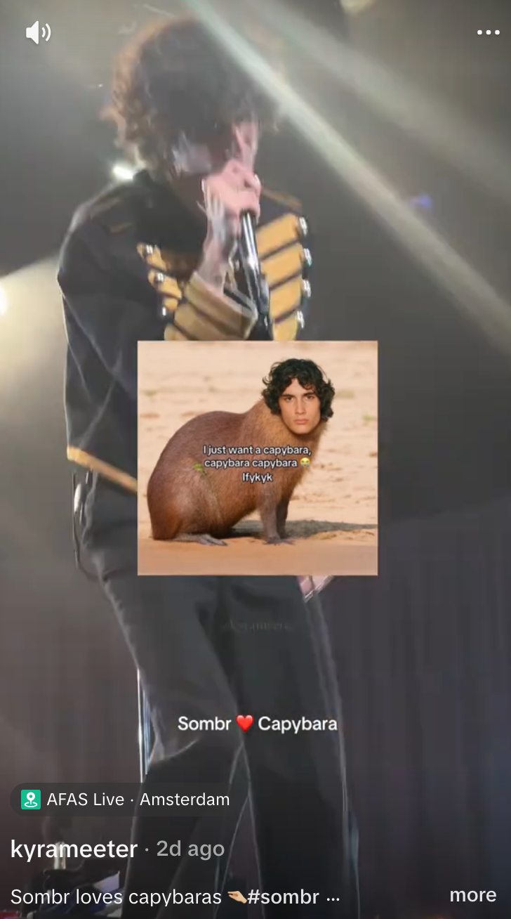 La tendance capybara de Sombr catapulte l'histoire des fans