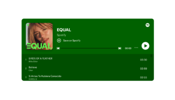 Le programme « Equal » de Spotify a généré 50 milliards de « flux éditoriaux »